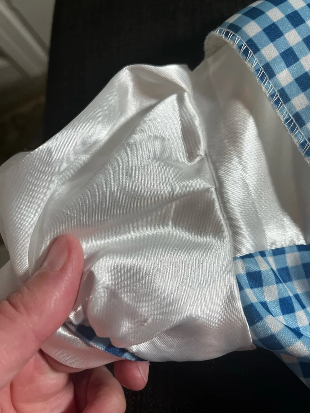 The Wizard of Oz Rubie’s Dorothy Costume Dress Blue Gingham Infant 6-12 Months - Picture 13 of 14